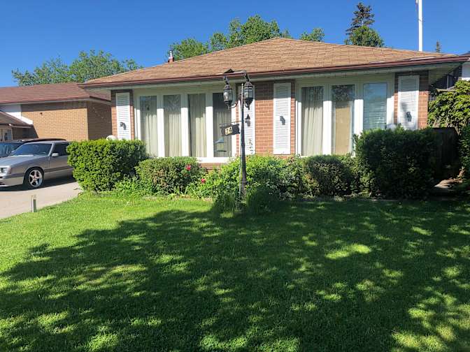 Mudassar Javed's room