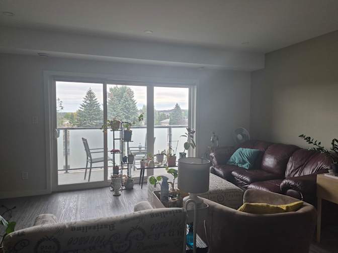 Shaquel's room