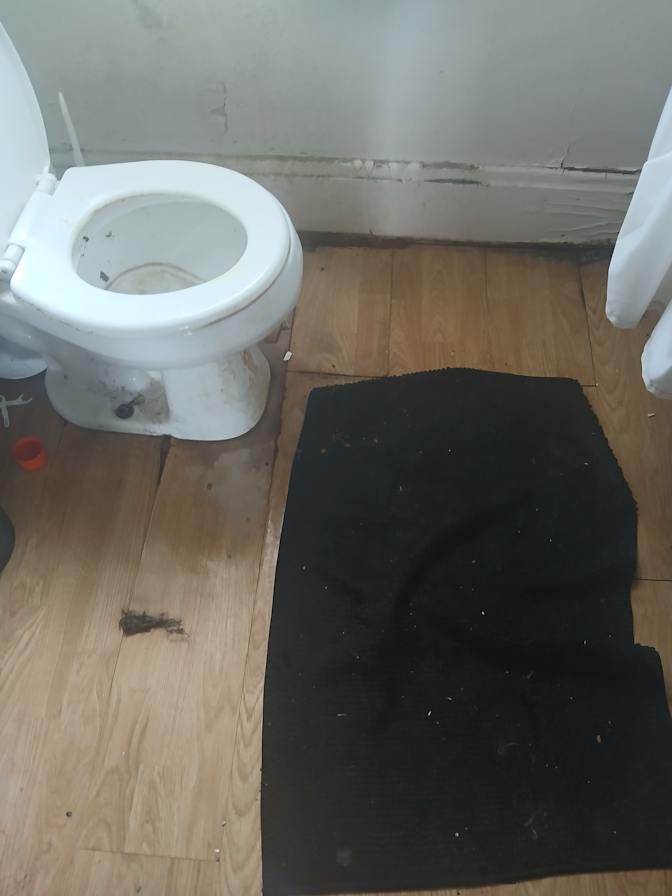 Carlos Cook's room