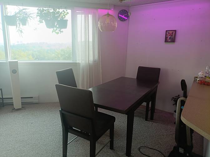 Yegor's room