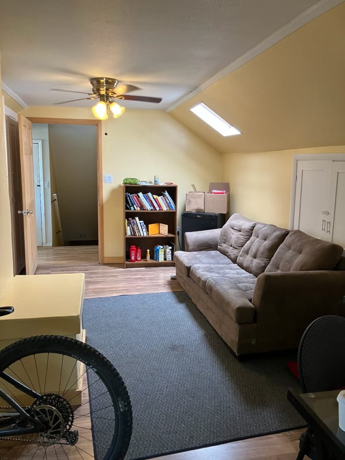 Shane's room