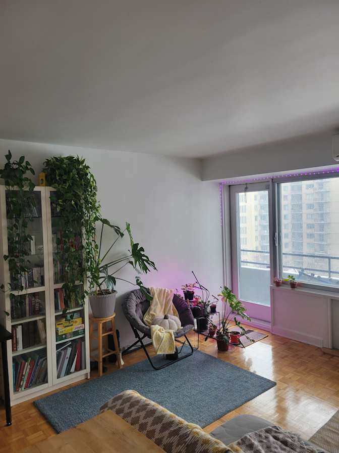 Ozgun Varol's room