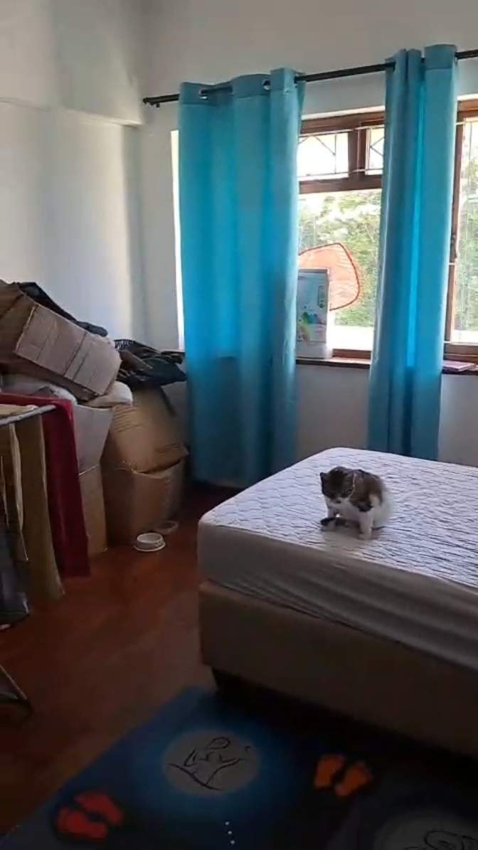 Kelly's room