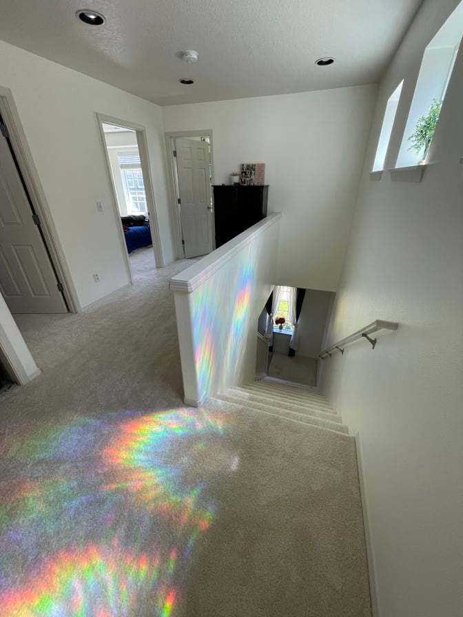Andea Paxton's room
