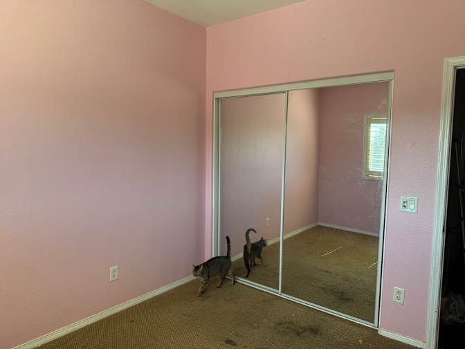 Dan's room