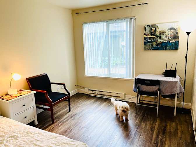Mary's room