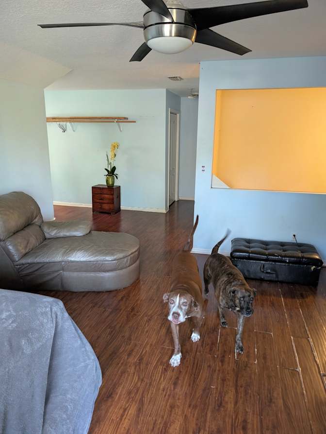 Jack and Jill's room