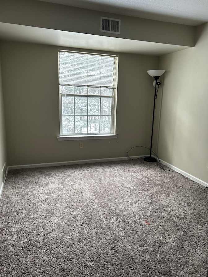 Ari's room