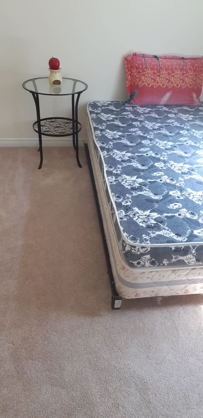 Shaheen's room