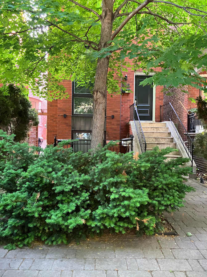 Zahraa Mahomed's room