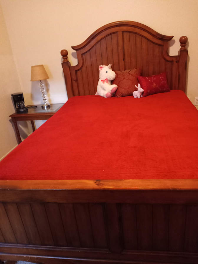 Mary's room