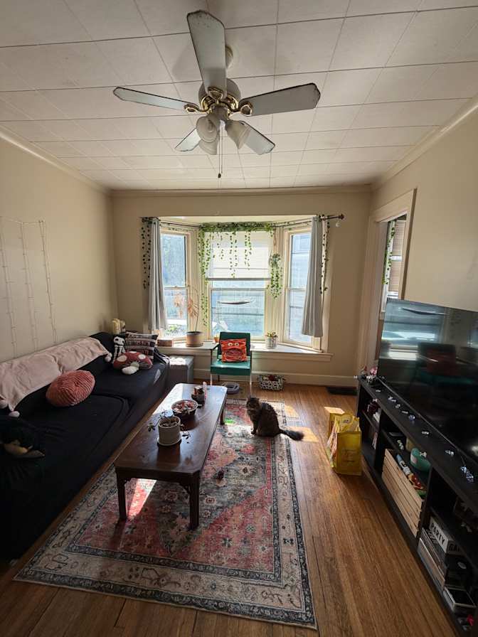 Samantha's room