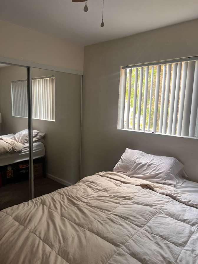 Timothy Mapes's room