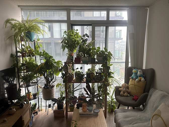 Paola's room