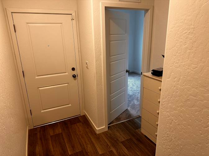 Shalom's room