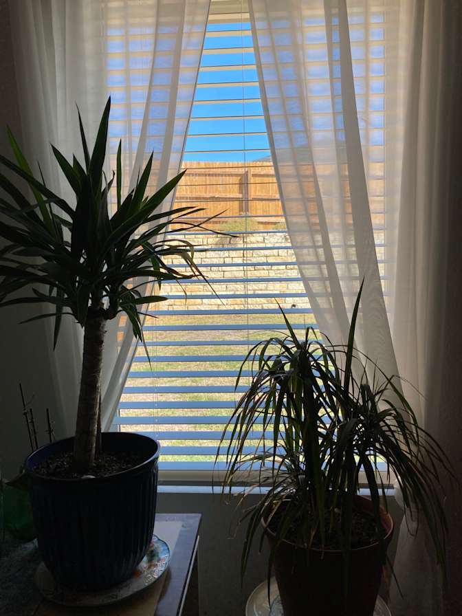 Marci's room