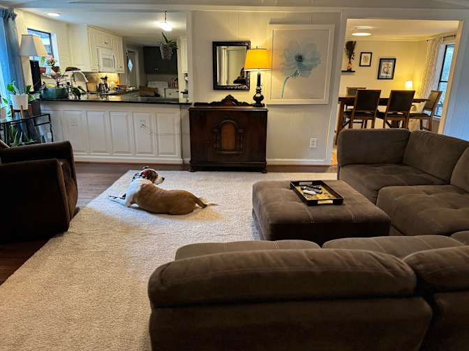 Drew's room