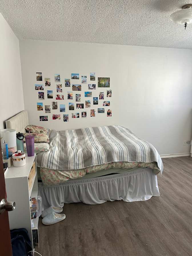 Rose's room