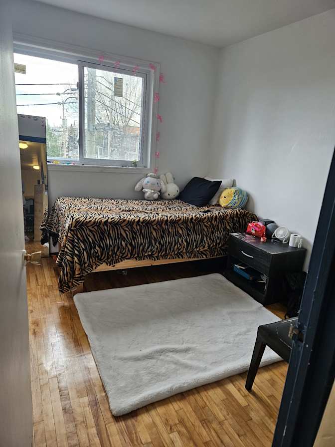 Raja's room