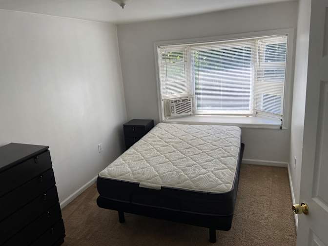 Ziggy's room