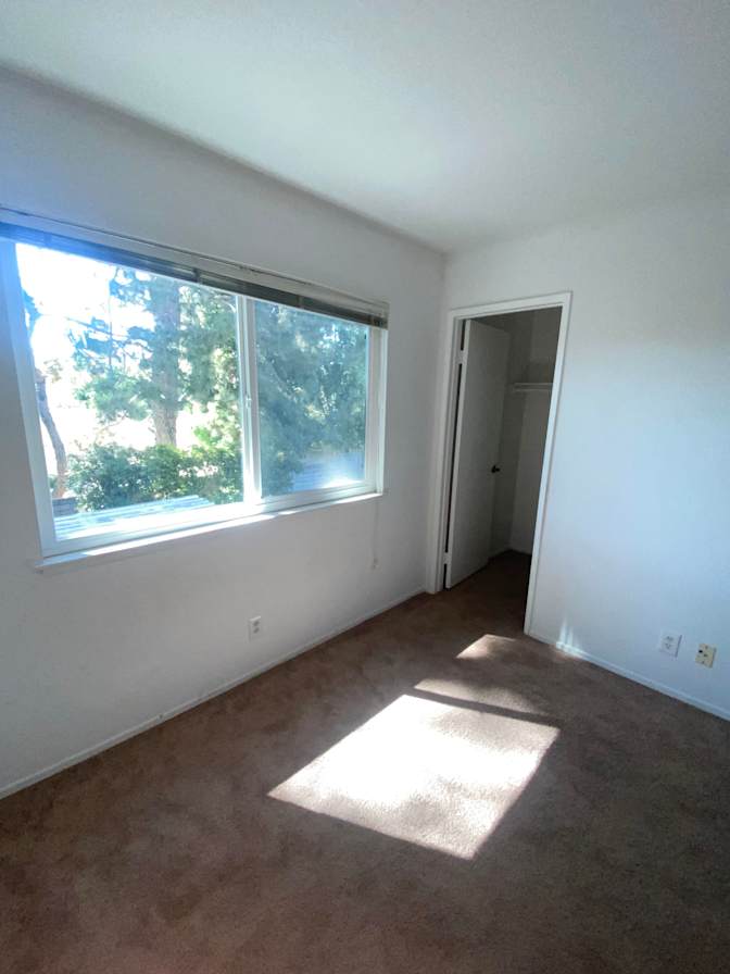 Alexander's room