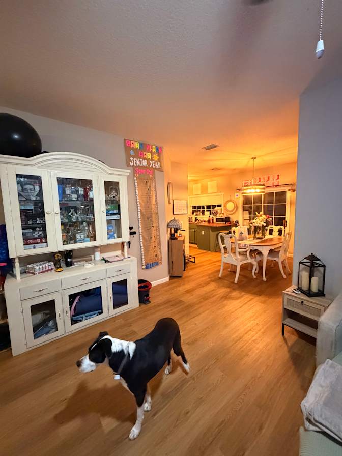 Anna's room