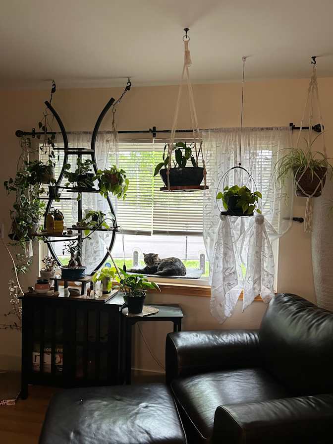 Lon's room