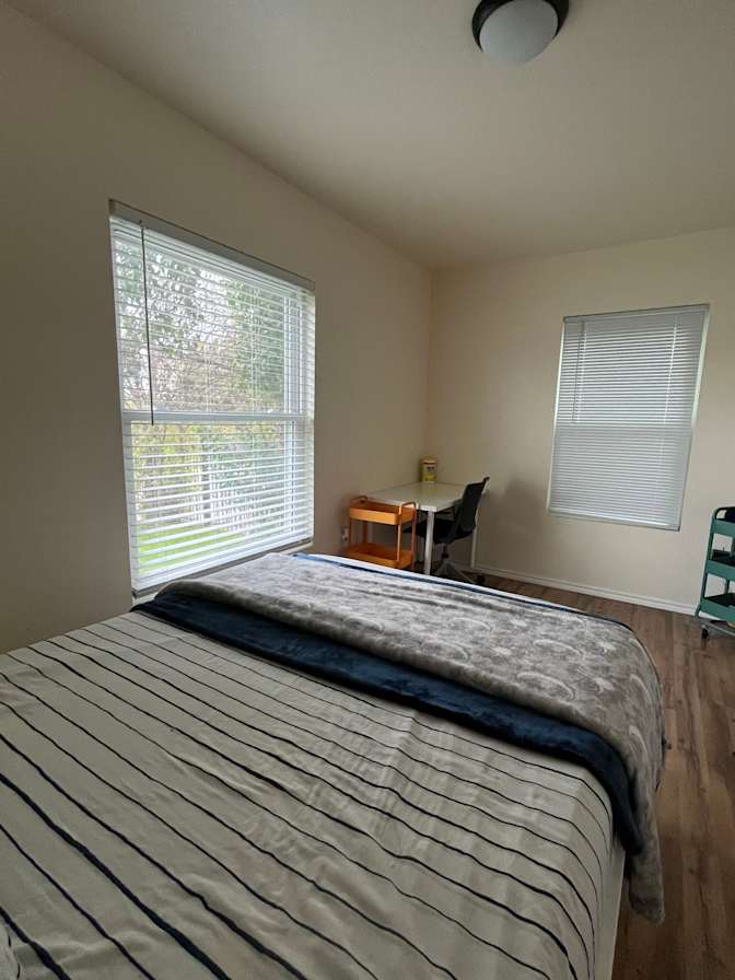 Metzli's room