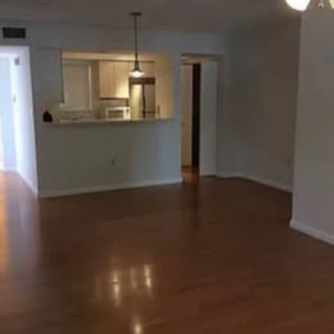 Sofia's room