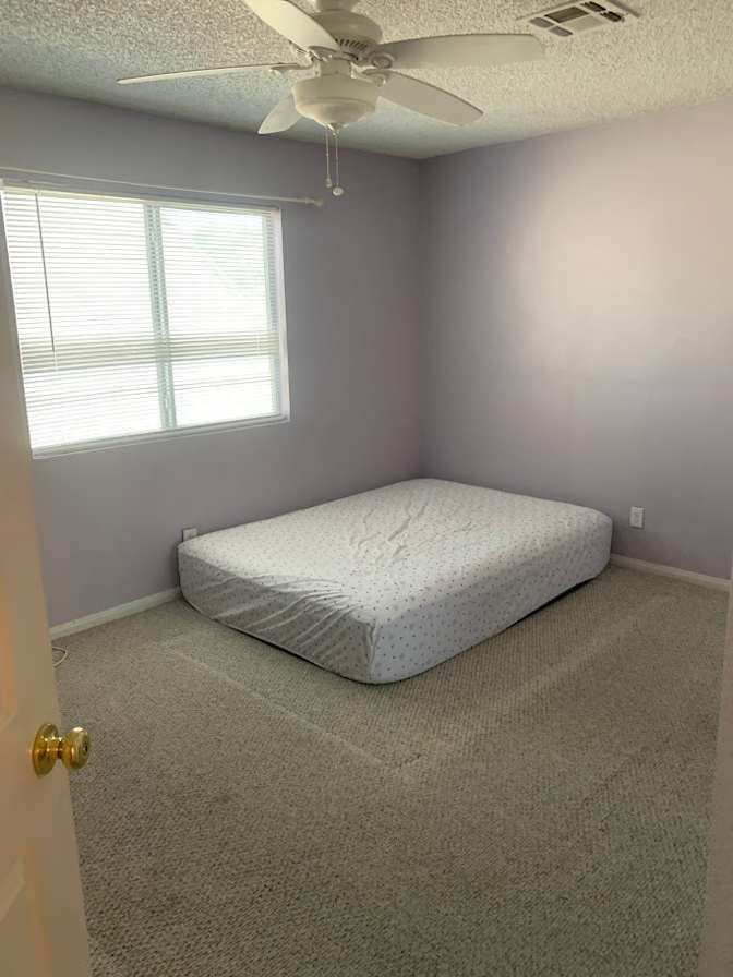 Shauna's room
