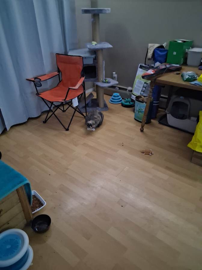 Dan's room