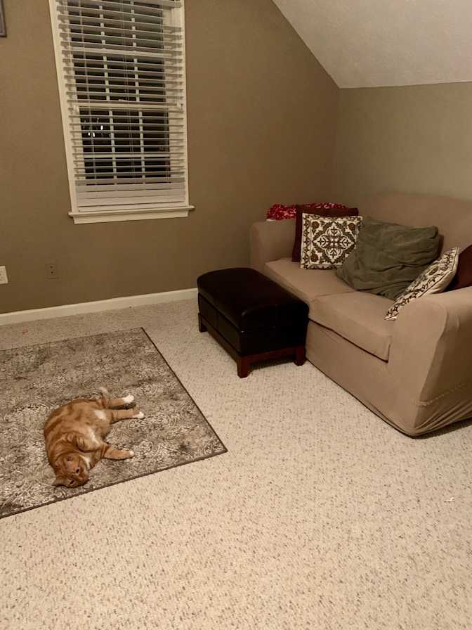 Rusty's room