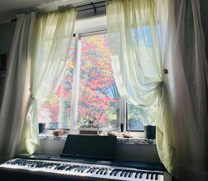 Mila's room