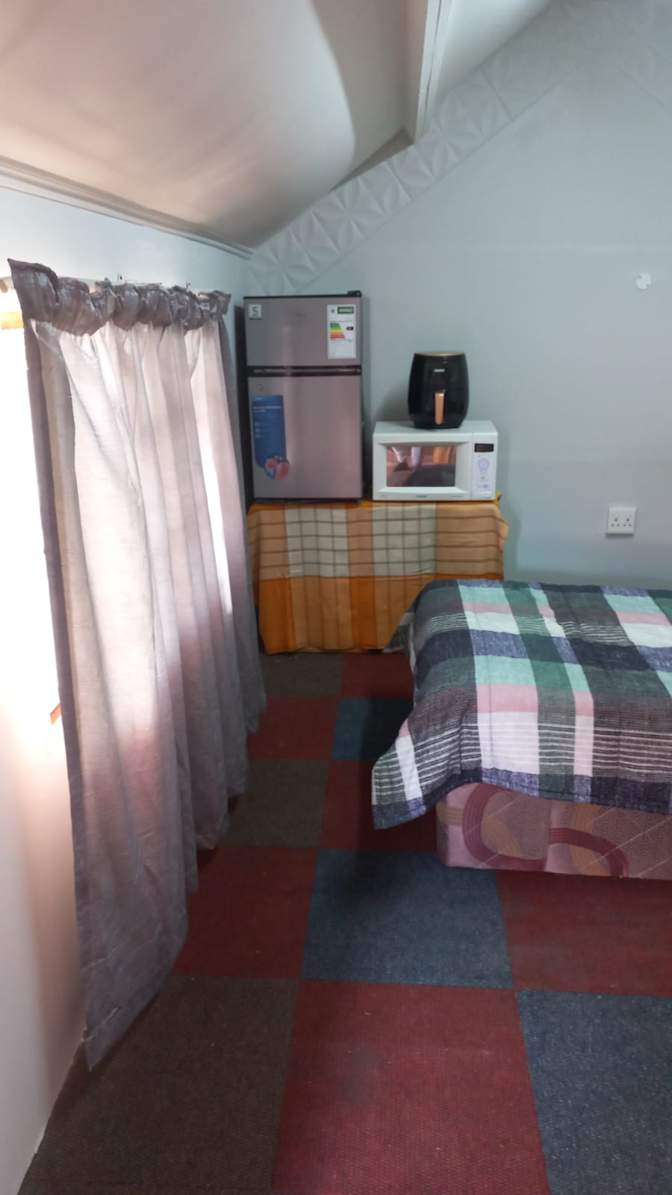 Willows on Bartlett's room