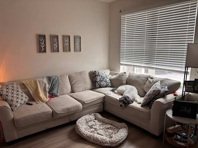 Katelin's room