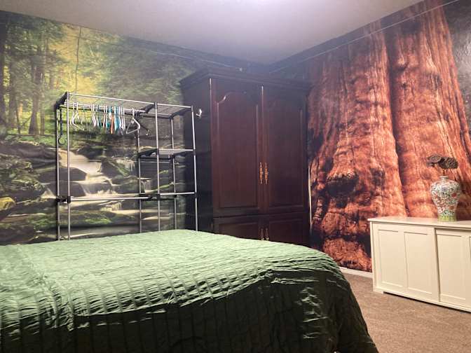 Veronica's room