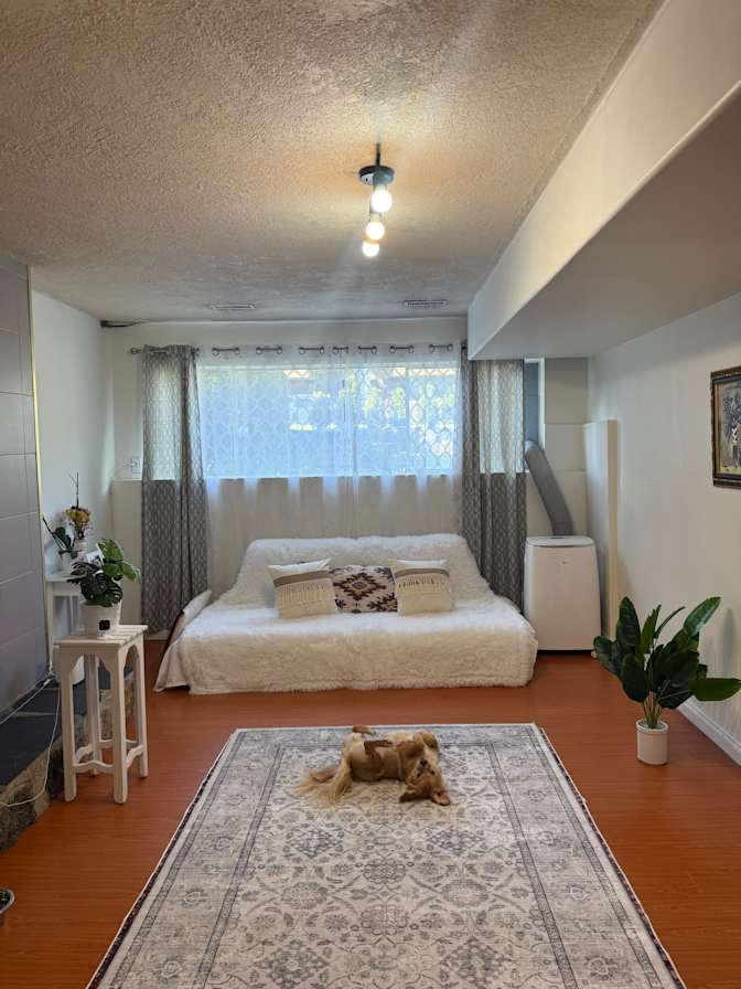 Megan's room