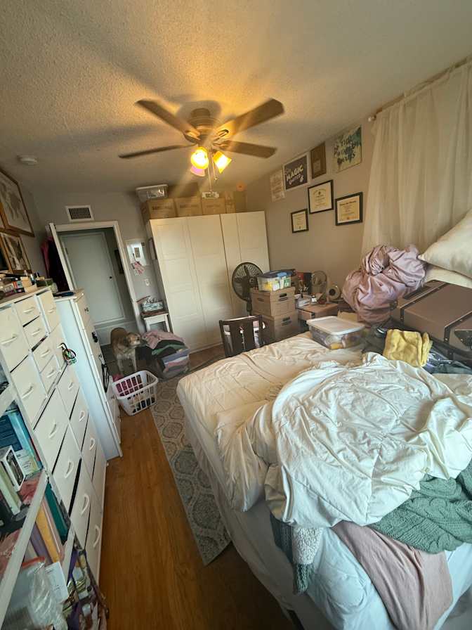 Morgan's room