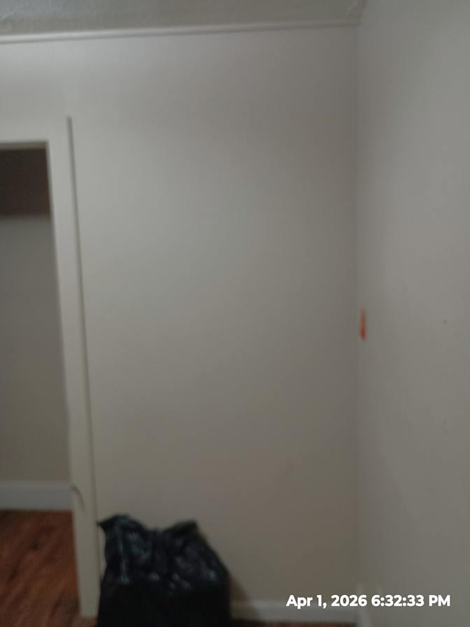 David's room