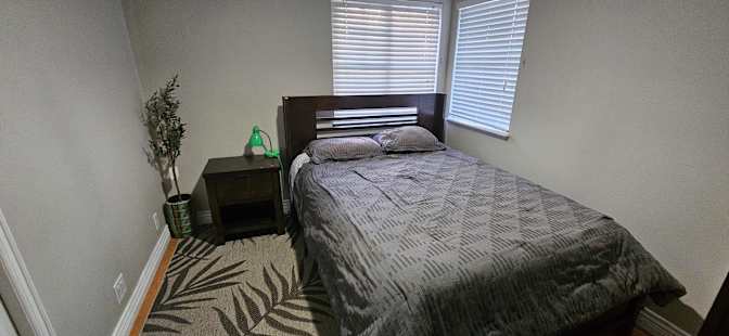 NIKOLAY's room