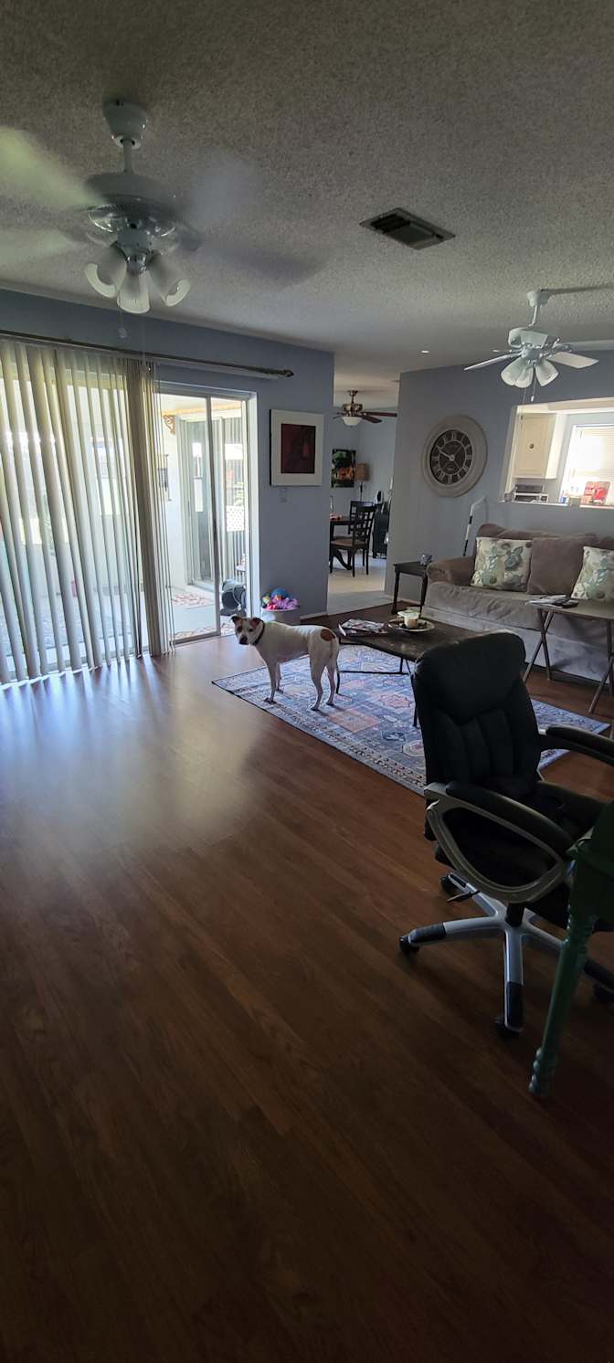 Lyne lheureux's room
