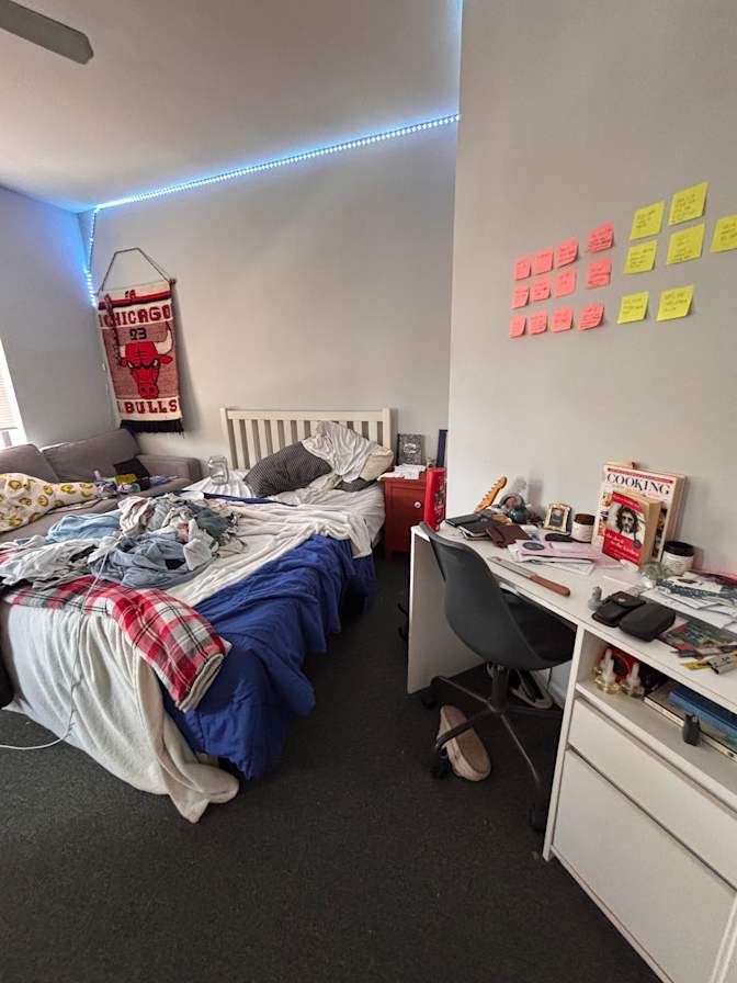 roohi's room