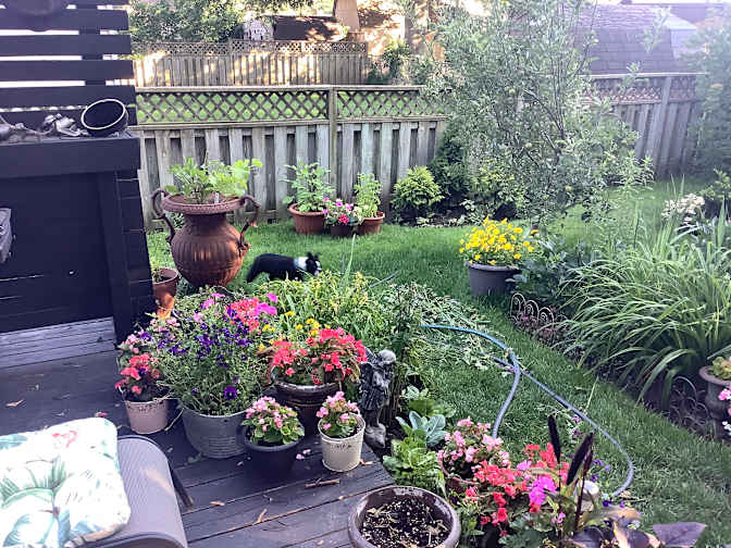 Jeffrey Pommer's room