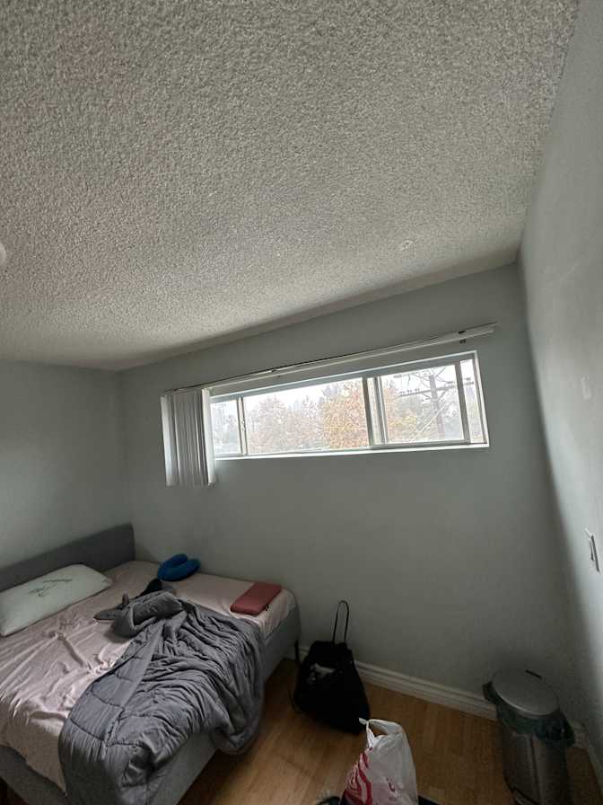Ray's room
