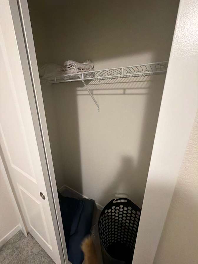 Savannah's room