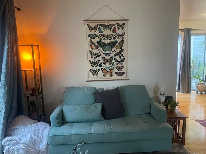 Savannah's room