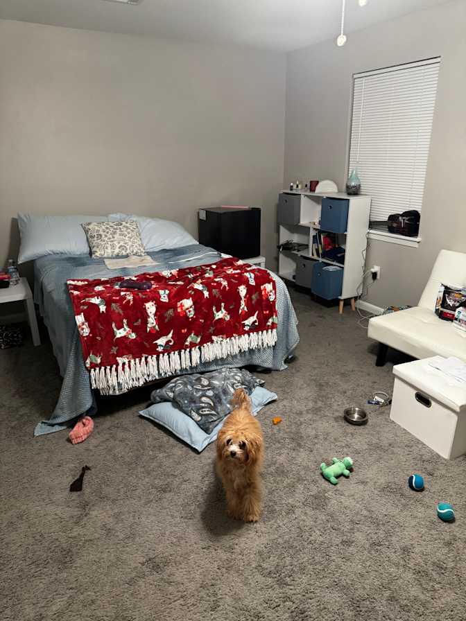 Melissa's room