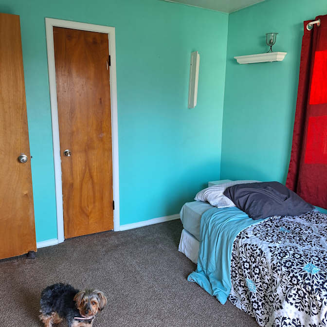 Lynn's room