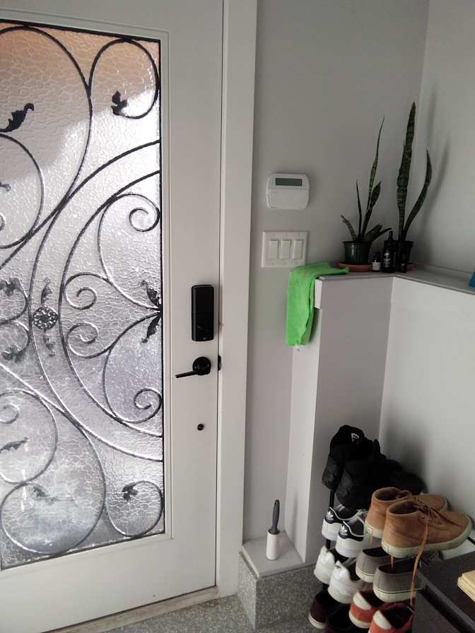 Aaron Zebrafish's room