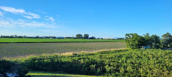 Claire Garnett's room